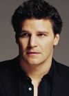 David Boreanaz portrait