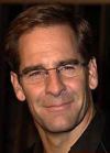 Scott Bakula portrait